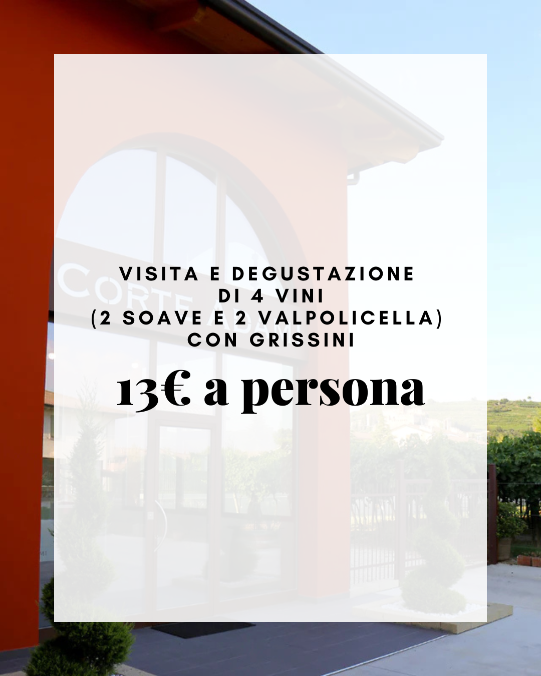 Visita e degustazione di 4 vini (2 Soave e 2 Valpolicella) con grissini