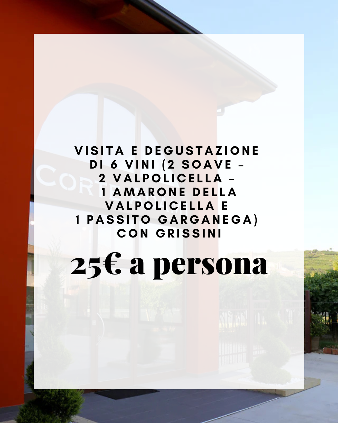Visita e degustazione di 6 vini (2 Soave – 2 Valpolicella – 1 Amarone della Valpolicella e 1 Passito Garganega) con grissini