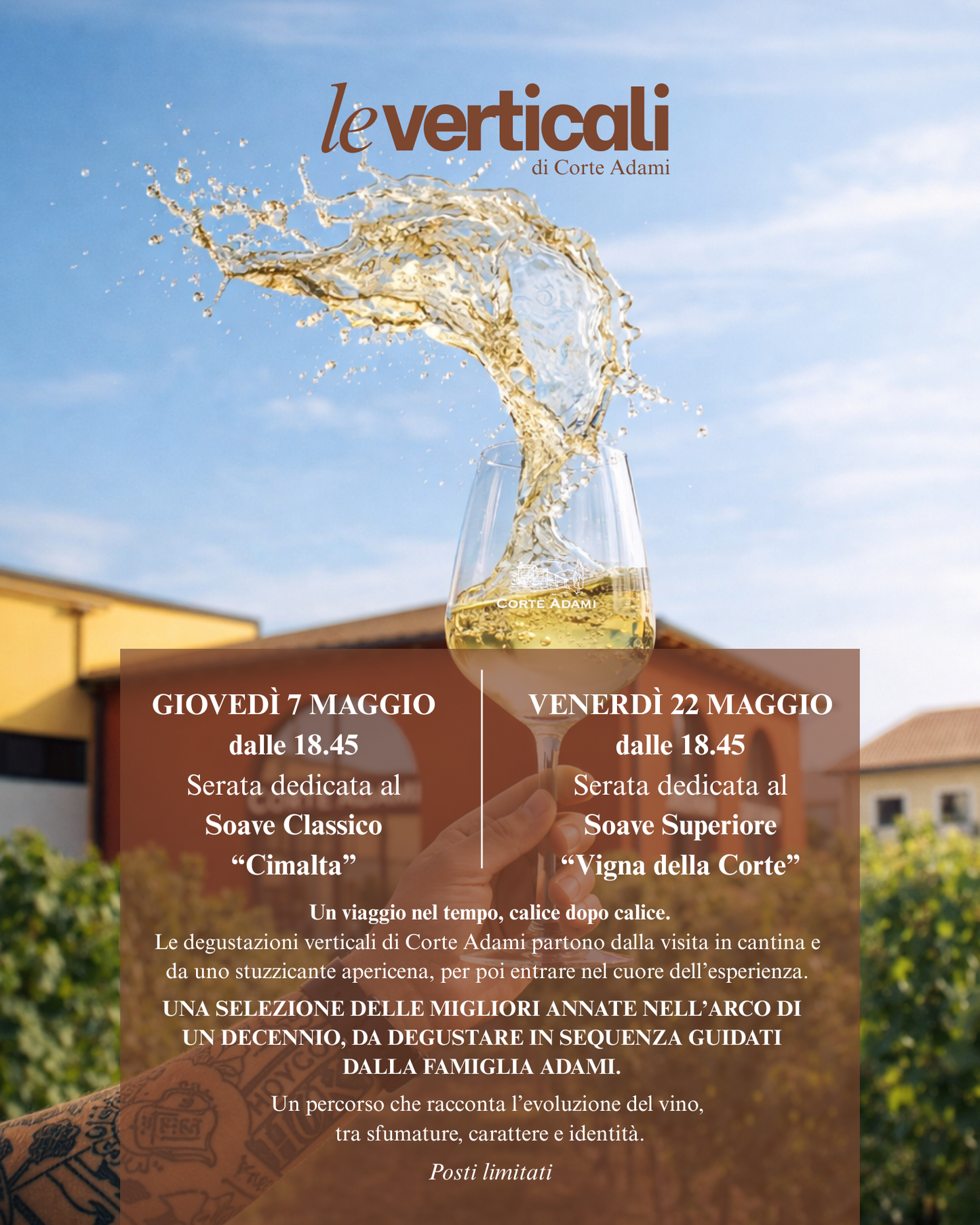 Le Verticali di Corte Adami