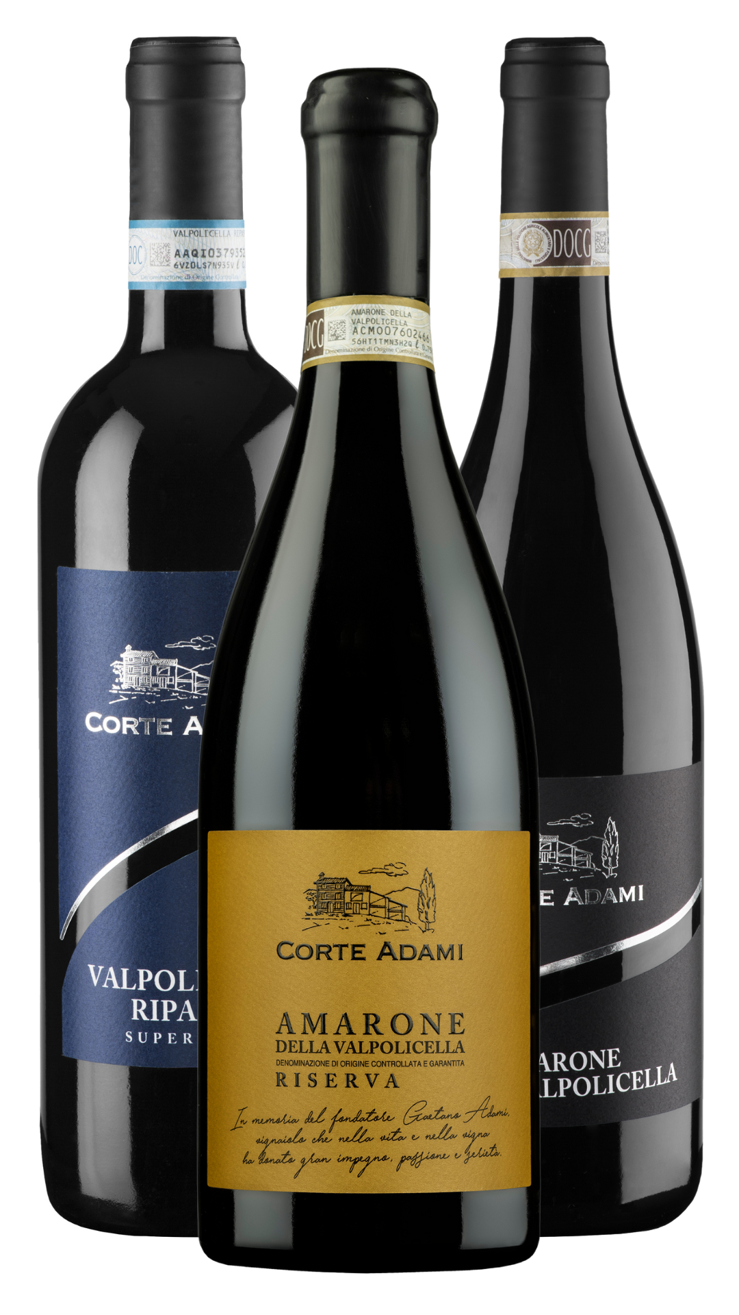 Valpolicella Evolution